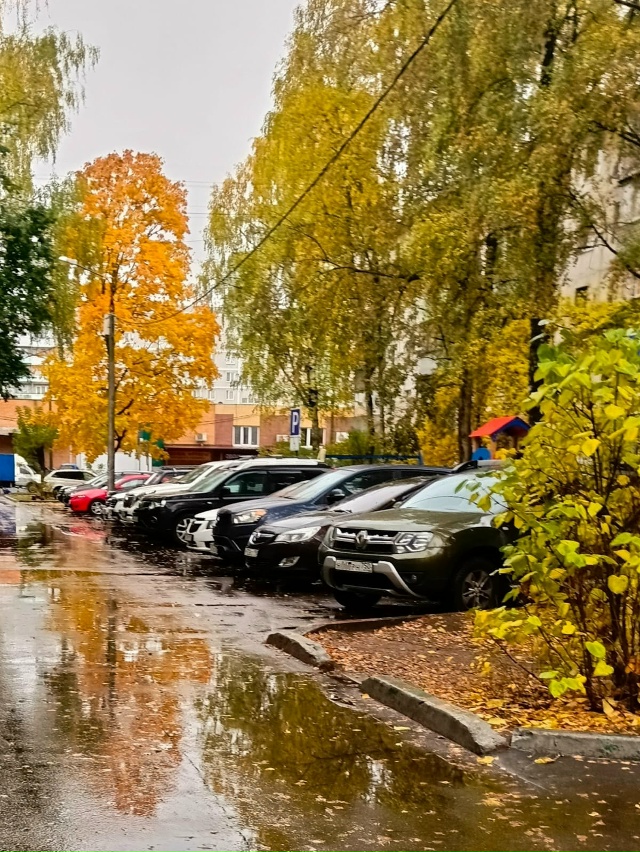 Доброе утро!
Хорошего дня всем!
🍁🌤️❤️