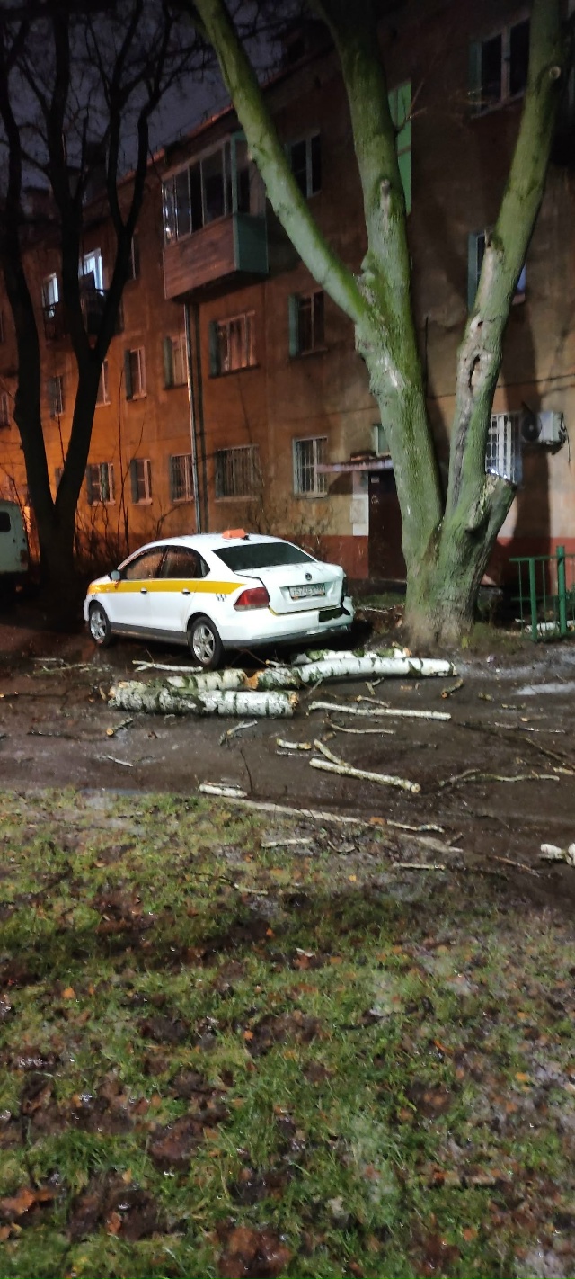 Ну вот не те деревья рубят коммунальщики...
Очередная г?...