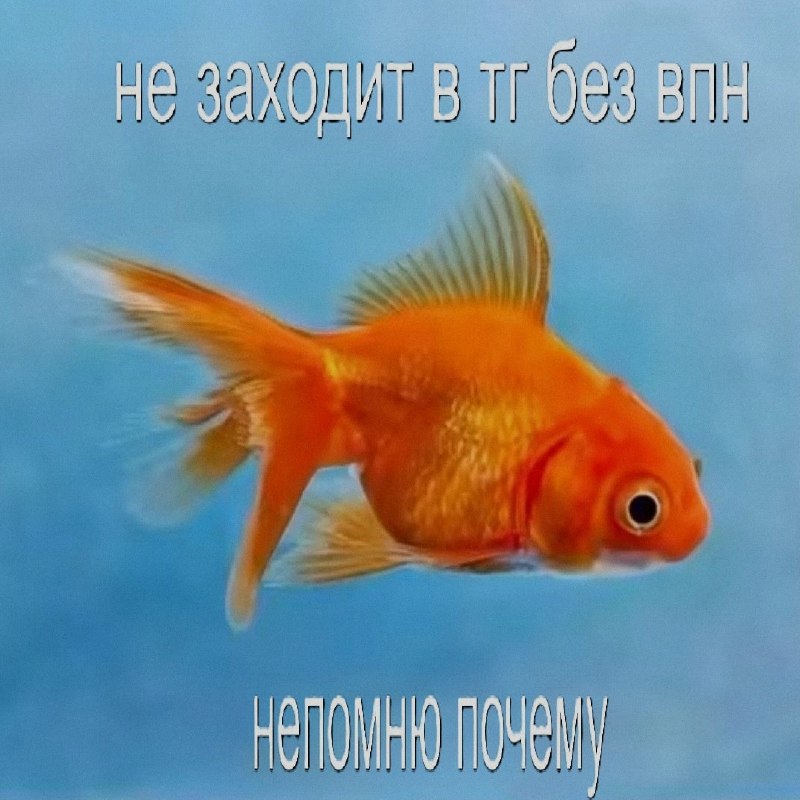 Ночная подборочка
Спать, режим