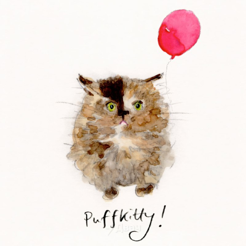 В ветеринарной клинике Калифорнии спасли котёнка по кличке Зои, которого буквально раздуло как возду