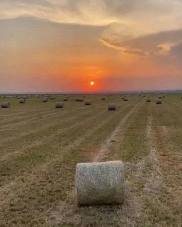 Приятного вечера!
Закат на Раменской пойме
Фото: Рома?...