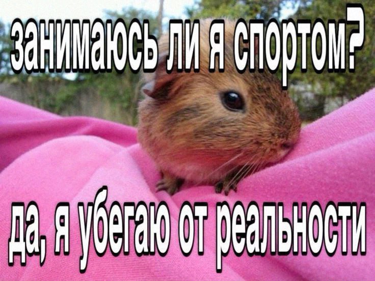 Утренняя подборочка