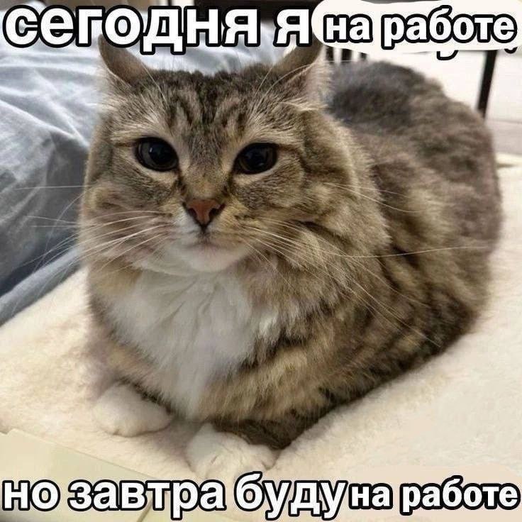 Утренняя подборочка