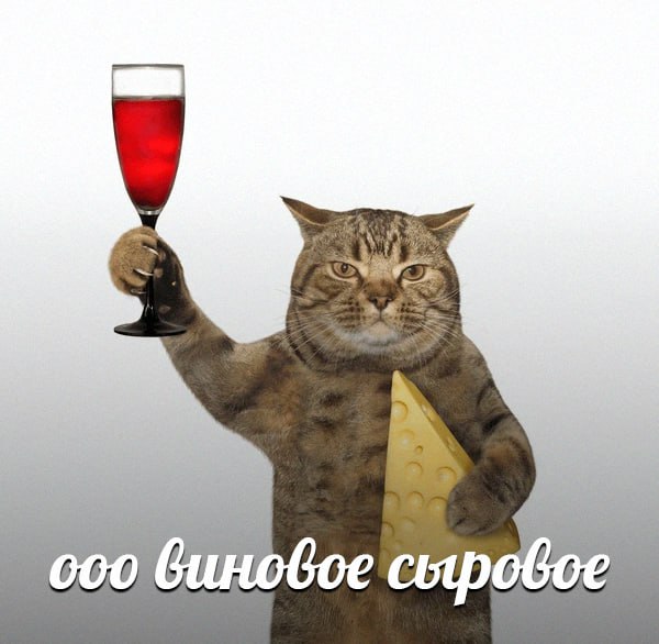 Сегодня отмечается Всемирный День вина и сыра
С планами на вечер определились