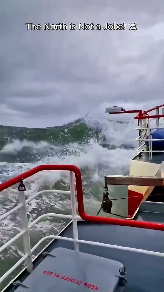 Пережить в ледяных водах Северного моря — задача непр?...