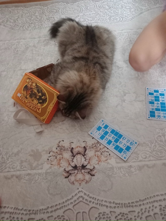 Увлекательная игра в лото.
