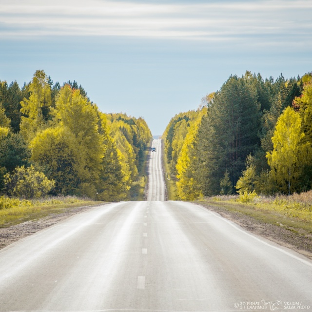 Автомобильная дорога разделяет поля кукурузы, Кунгурс...