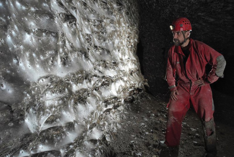 На границе Албании и Греции обнаружили самую большую в мире паутину, в которой обитает свыше 111 000