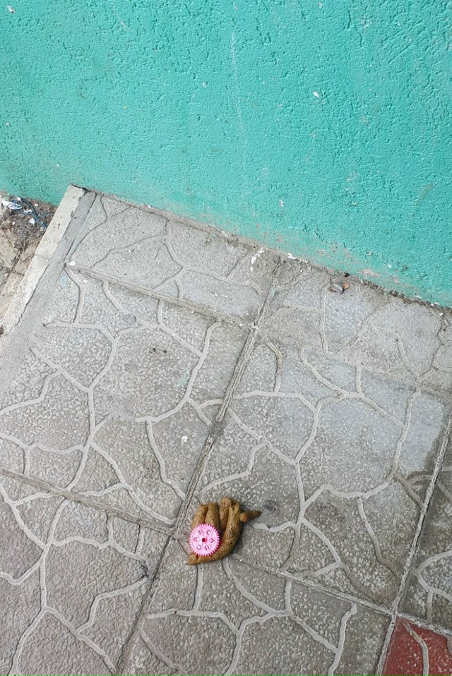 Анонимно. Как можно быть такой свиньёй?🤬🤬🤬.Лунная 1.