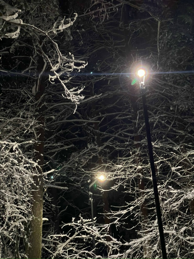 Βeчepний Зaeльцoвcкий пapк ❄️