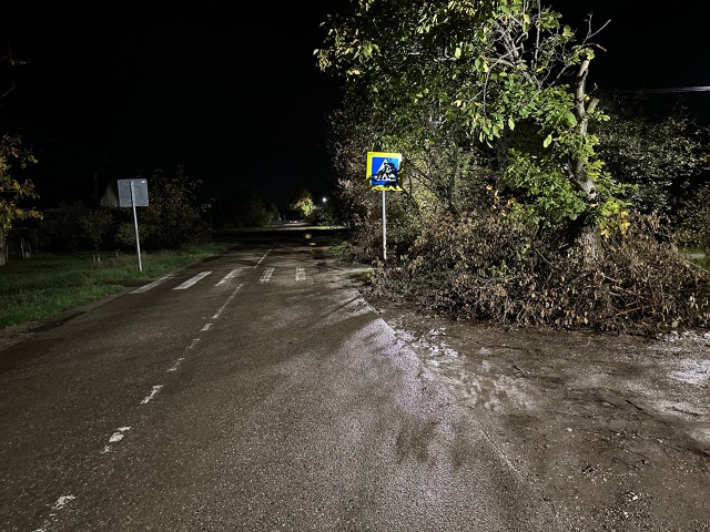 Ул Толстого-Лузана! Администрация, обратите внимание...