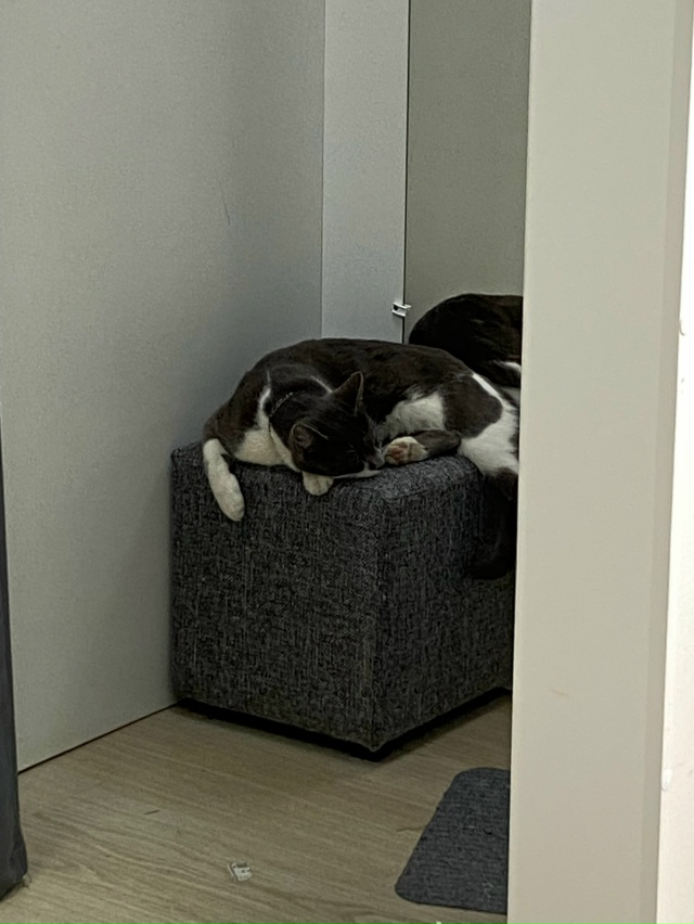 Всем доброго времени суток! На протяжении долгого врем...