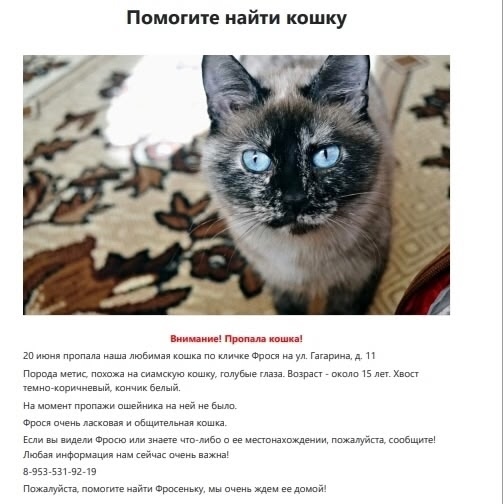 1. Пропала кошечка, выпала с балкона, нет кончика левого...