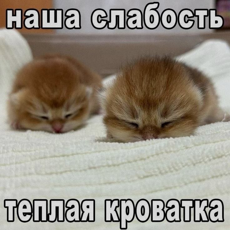 Утренняя подборочка