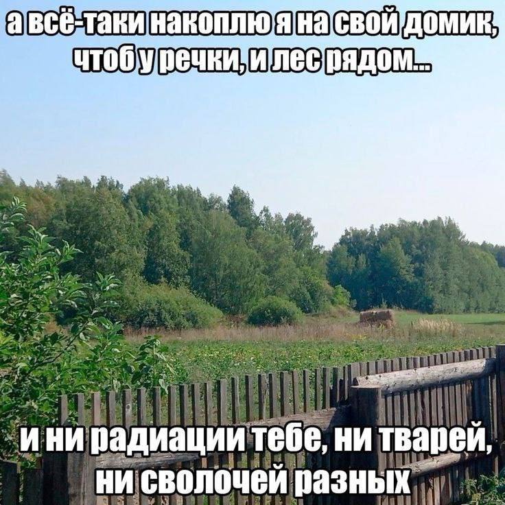 Утренняя подборочка
