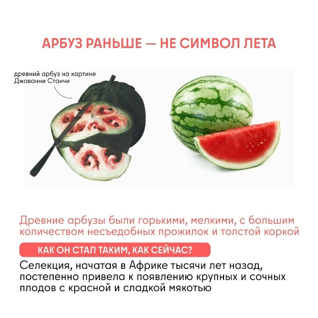 Как изменились овощи и фрукты за тысячи лет Задумывал...