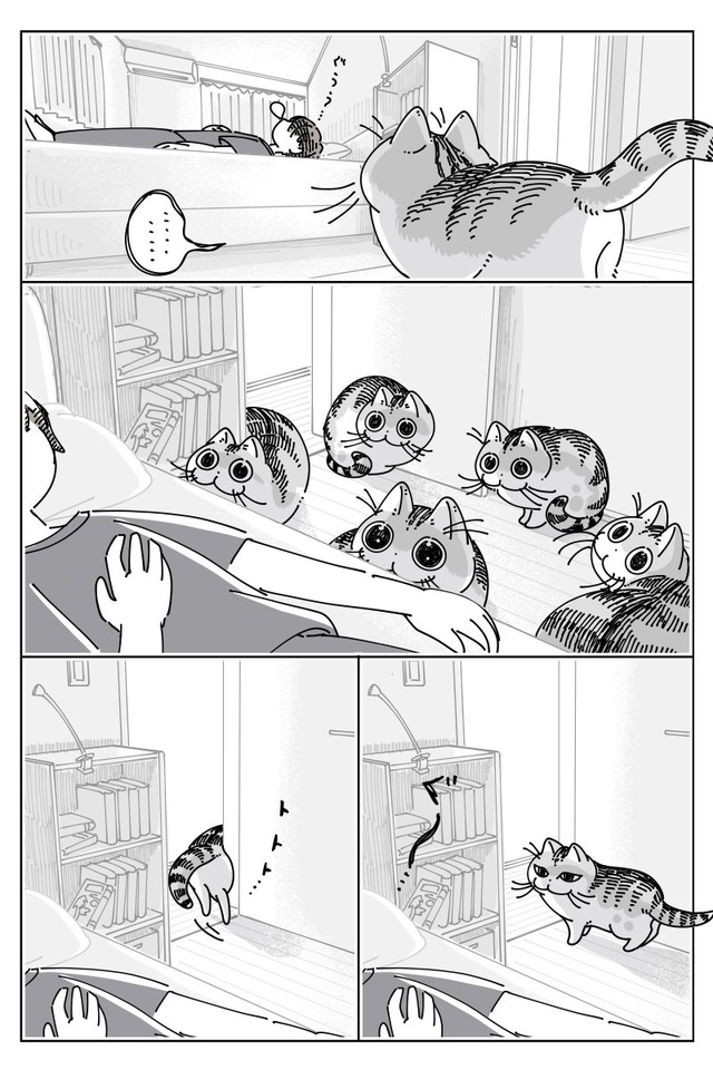 #Yoru_wa_Neko_to_Issho / Вечера с кошкой

