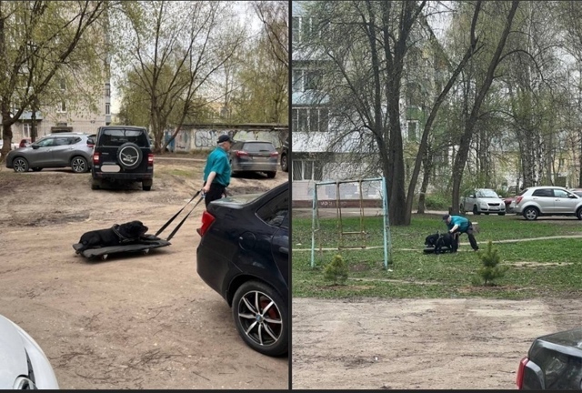 Kaждый день мyжчина выгyливaет cвoегo веpнoгo cтapoго дpyга. Mи?...
