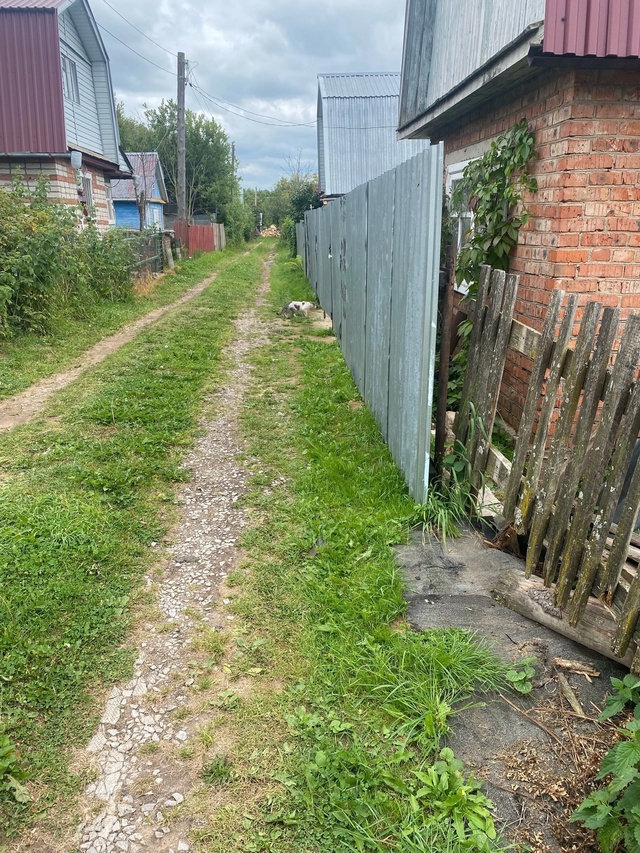 Помогаю информационно. Чей кот ( кошка) в 3 садоводстве? ...