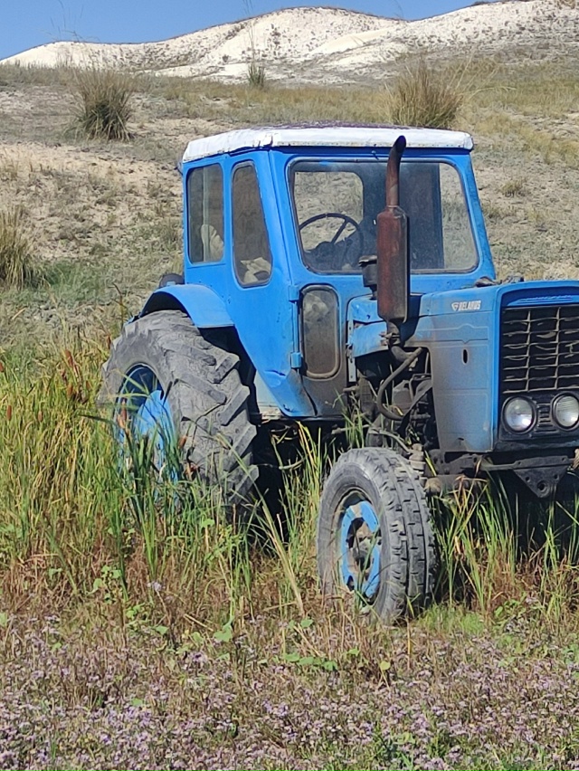 Продам МТЗ 50 89011149623