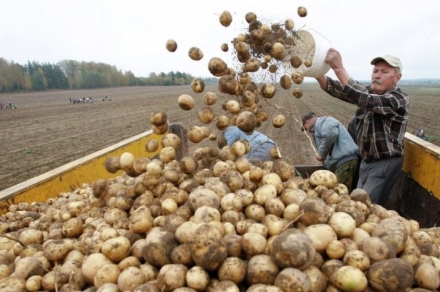 Федеральная служба по интеллектуальной собственности...