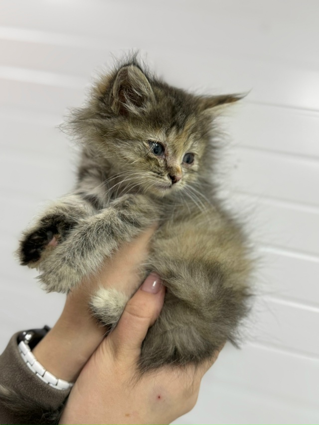 Посмотрите на этих маленьких крошек, загляните в эти п?...