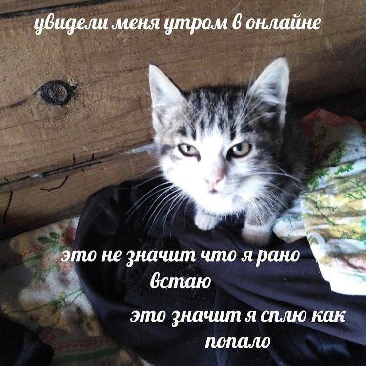 Утренняя подборочка