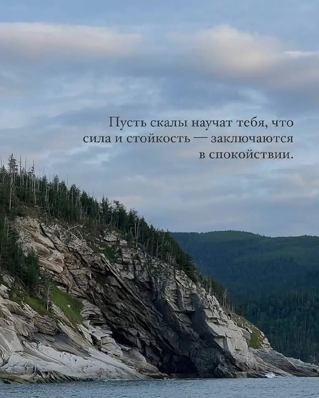 Учитесь у природы. Замечательные советы!