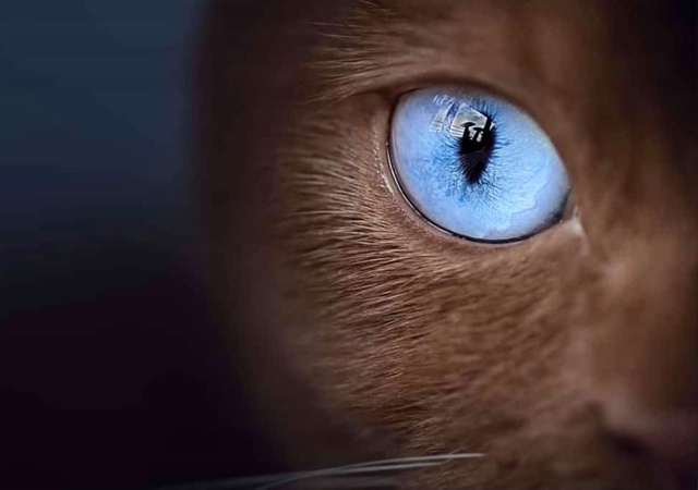 Шикарное сочетание!)