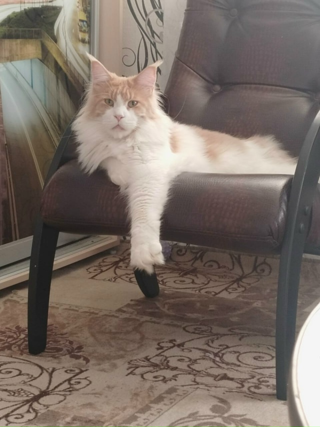 Барины отдыхают)))🤣