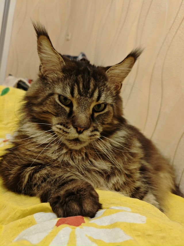 Джим. Что вы хотите мне сказать? 🤣Внимательно слушаю???...