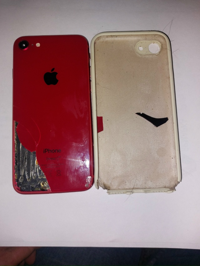 Подснежник на Ботанической: на поляне найден в усмерть...