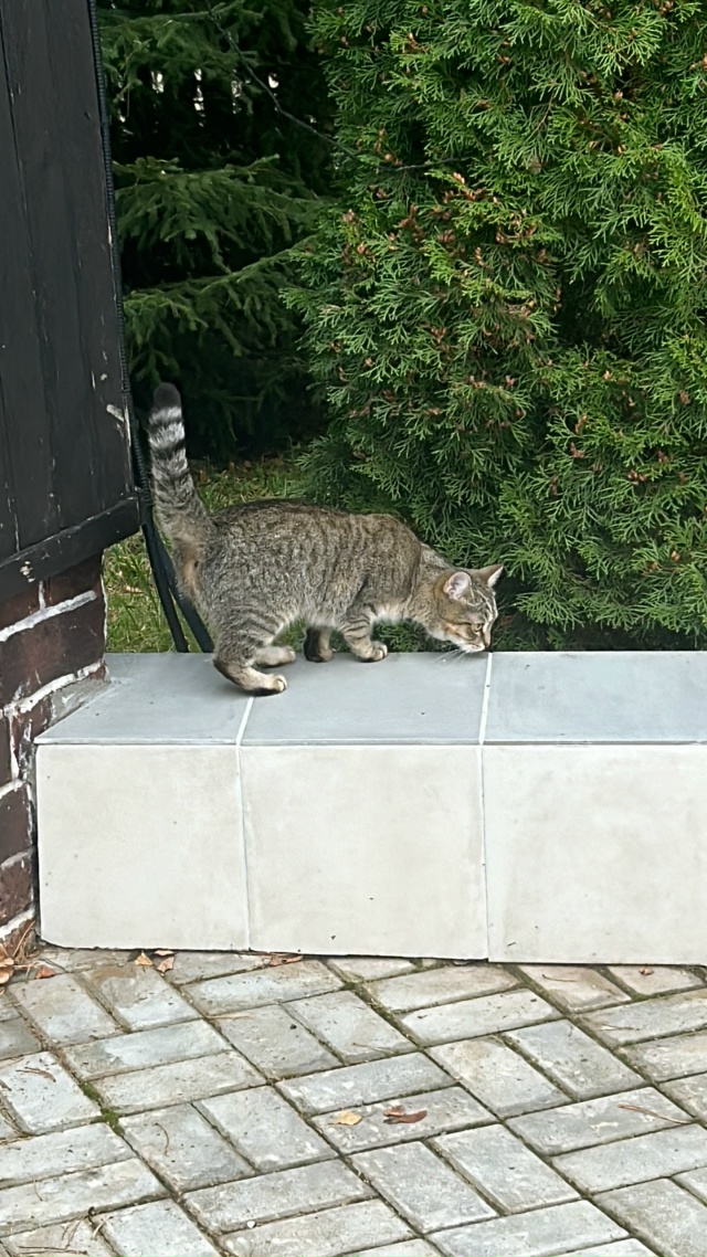 Кто потерял? Село Ильинское