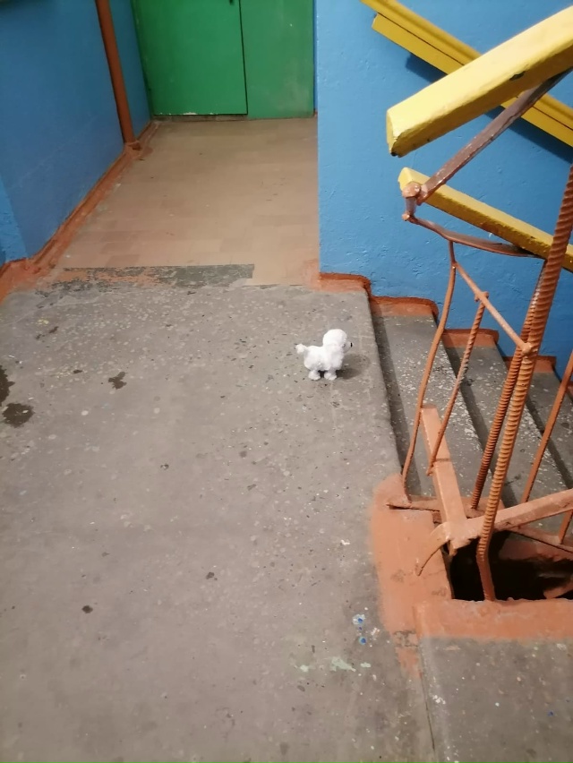 Что это значит?