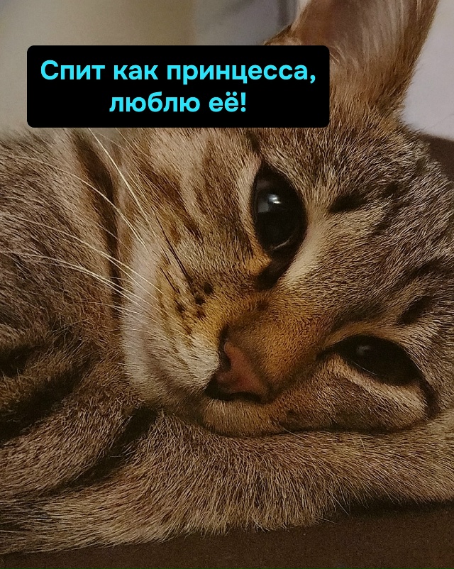 Спит как королева, только корона под подушкой и слюни н...