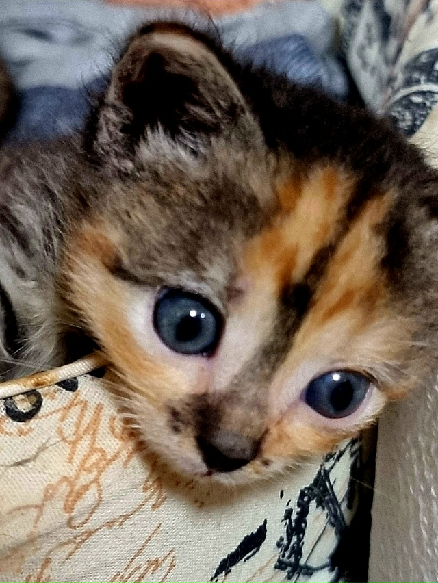 Добрый вечер!