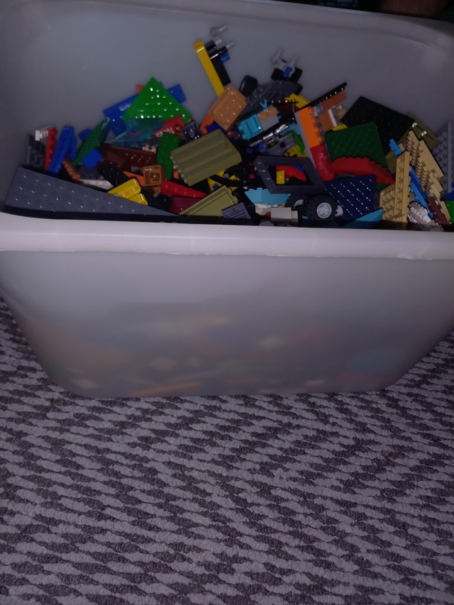 Бородино. Отдам.
89135501272