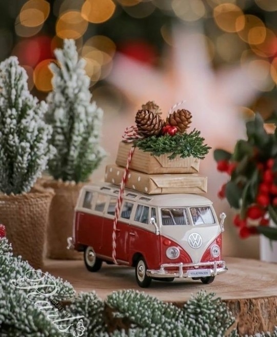 Не важно, сколько мне лет! Я всегда буду любить: наряжат...