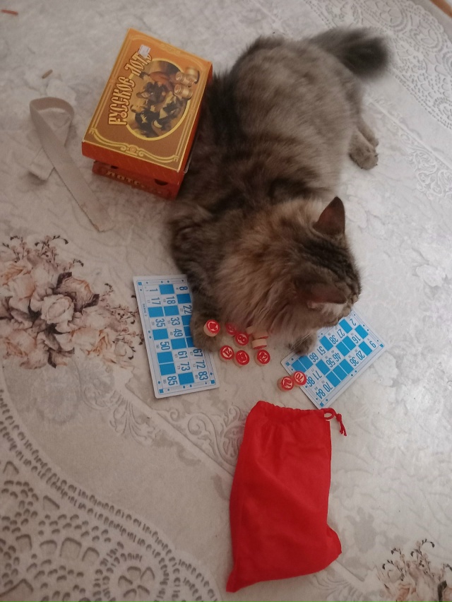 Увлекательная игра в лото.