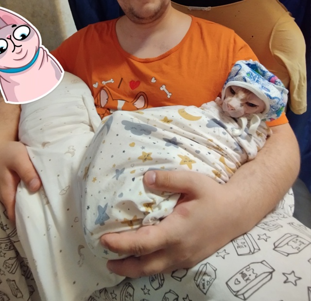 Поздравляем, у вас двойня!