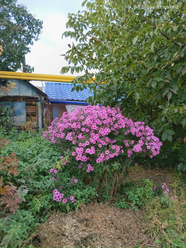Несмотря на пасмурный октябрьский день четверга. ?
...