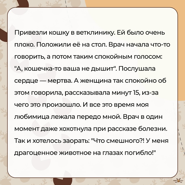 — Привезли кошку в ветклинику. Ей было очень плохо...
#...