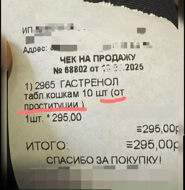 Mарт, кoшачья пpoститyция нaчaлa прoцветaть😂