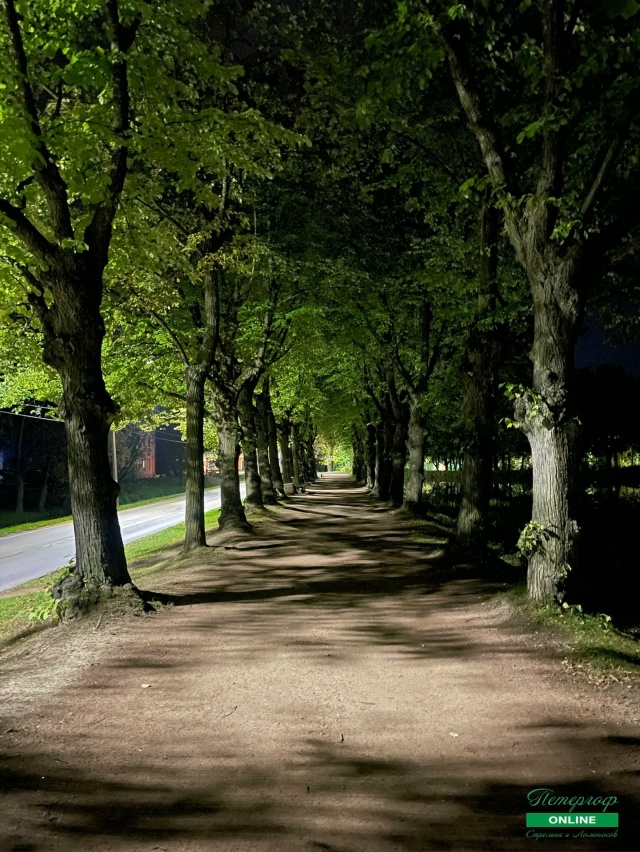 Аллеи Петергофа