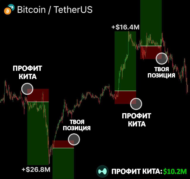 💵 +10.000.000$ ЗА МЕСЯЦ 💵
Этот кит ведёт канал, где открыто сливает свои позиции - и это не ради ла