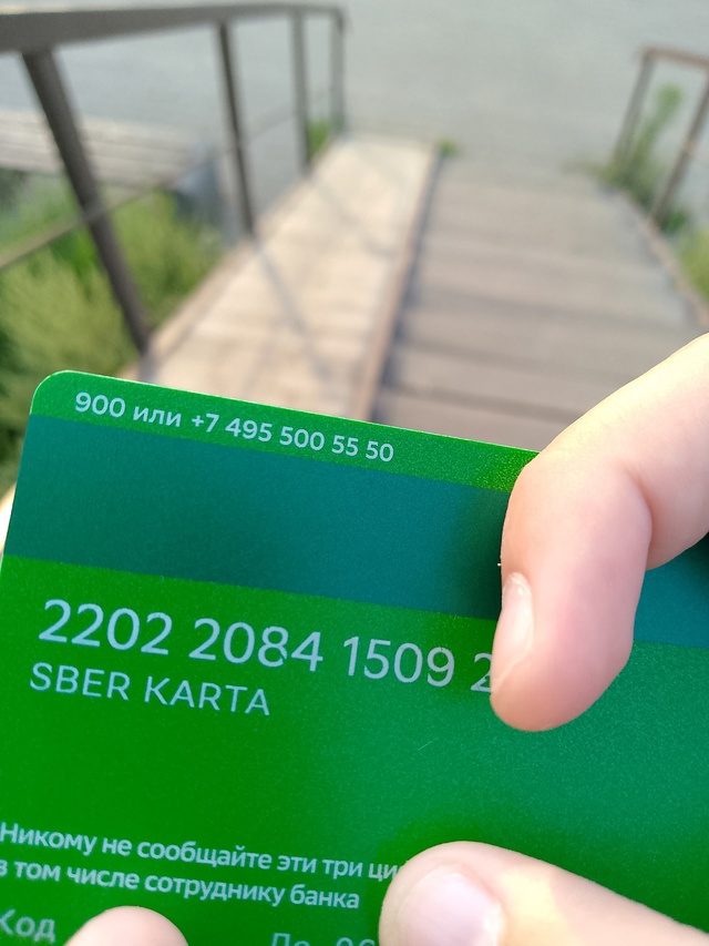 Найдена в лесопарке 