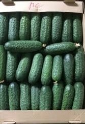 Продаются , Огурцы 🥒
Для за солки , без селитры , Домаш?...