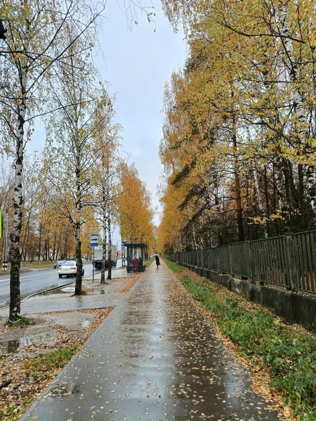 🍂🍁☔ Осенний Ковров