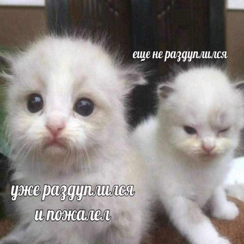 Утренняя подборочка