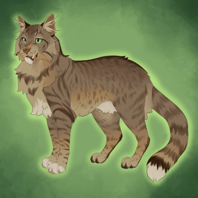 Метеор, Желудь и Кленовница
© monsterslug
#KV_ZZ_ART